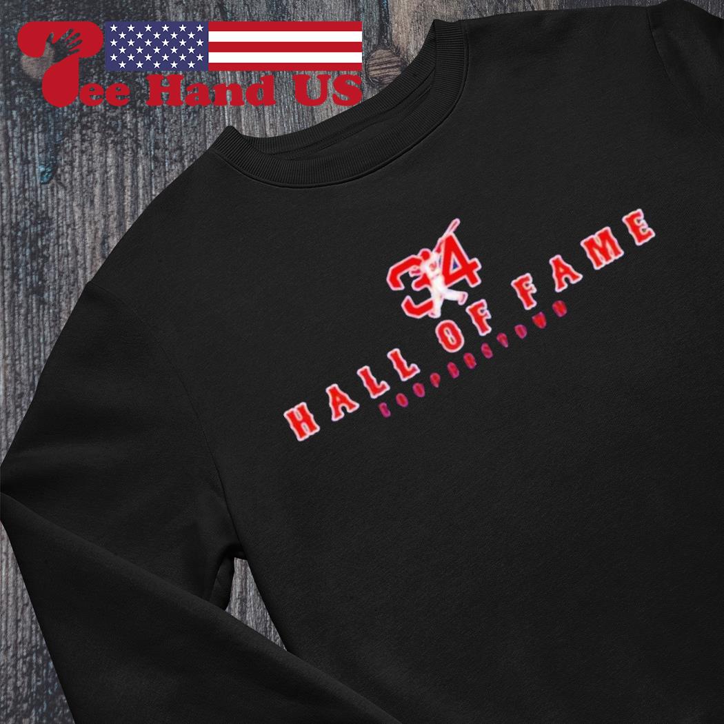 Official David Ortiz Papi 2022 Boston Sox Hall of fame T-Shirt, hoodie,  sweater, long sleeve and tank top