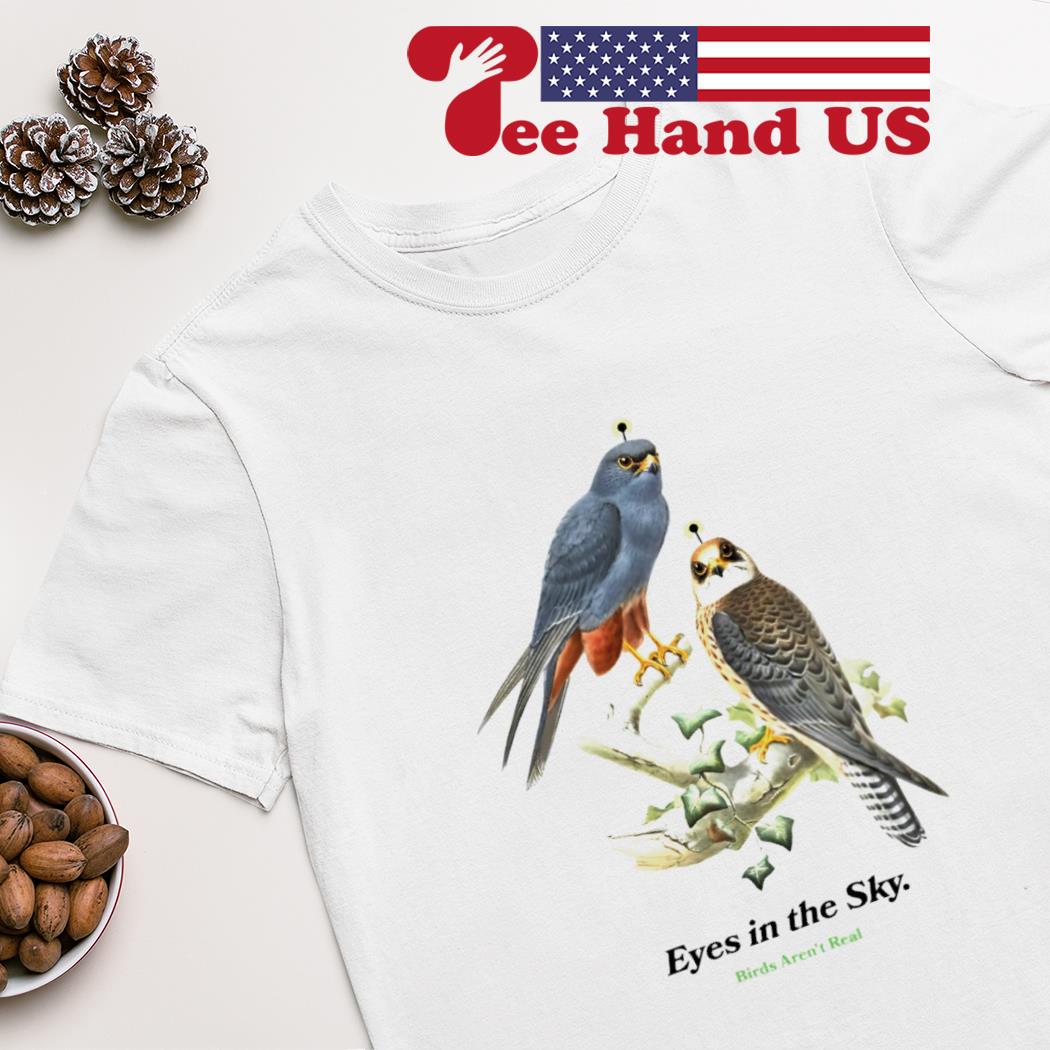 Eyes in the sky birds aren't real T-shirt