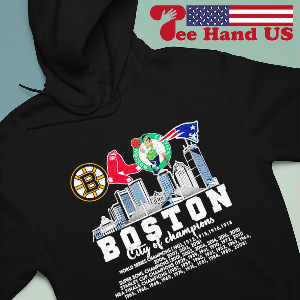 Boston sports teams shops sweatshirt lot size 9/10