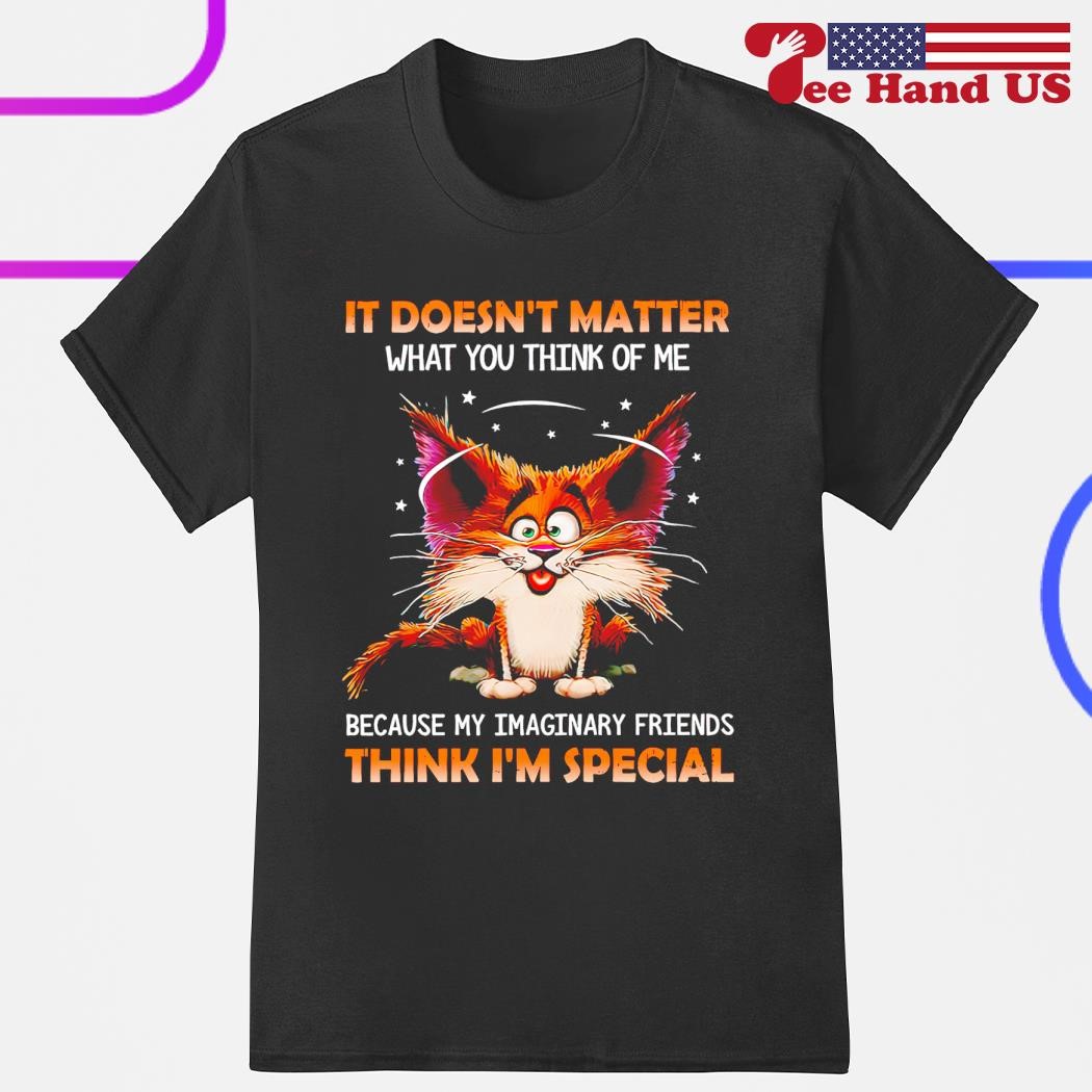It doesn't matter what you think of me because my imaginary friends think i'm special shirt