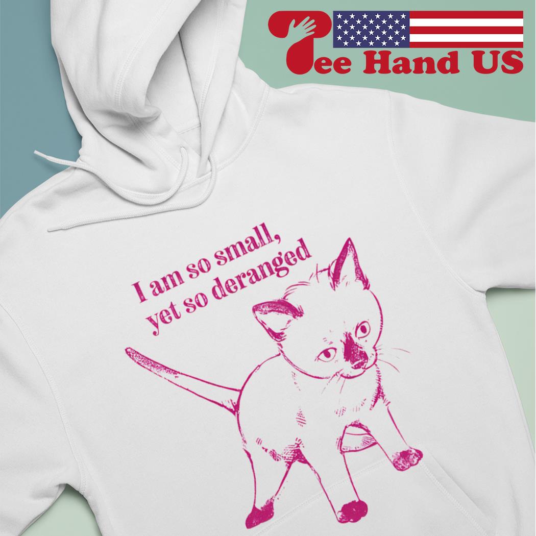 Cat i am so small yet so deranged T-s hoodie