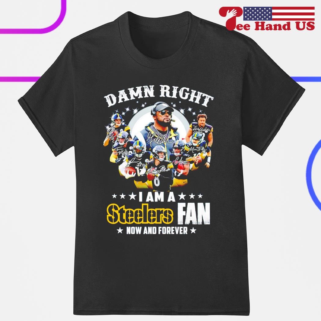 Pittsburgh Steelers T Shirt For Fan 