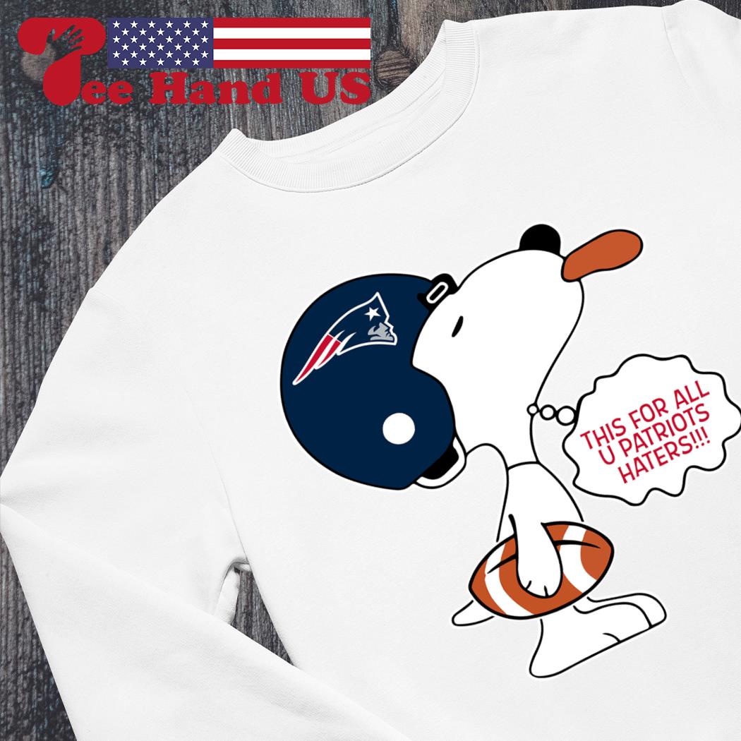 New England Patriots love Boston Red Sox shirt, sweater and ladies tee