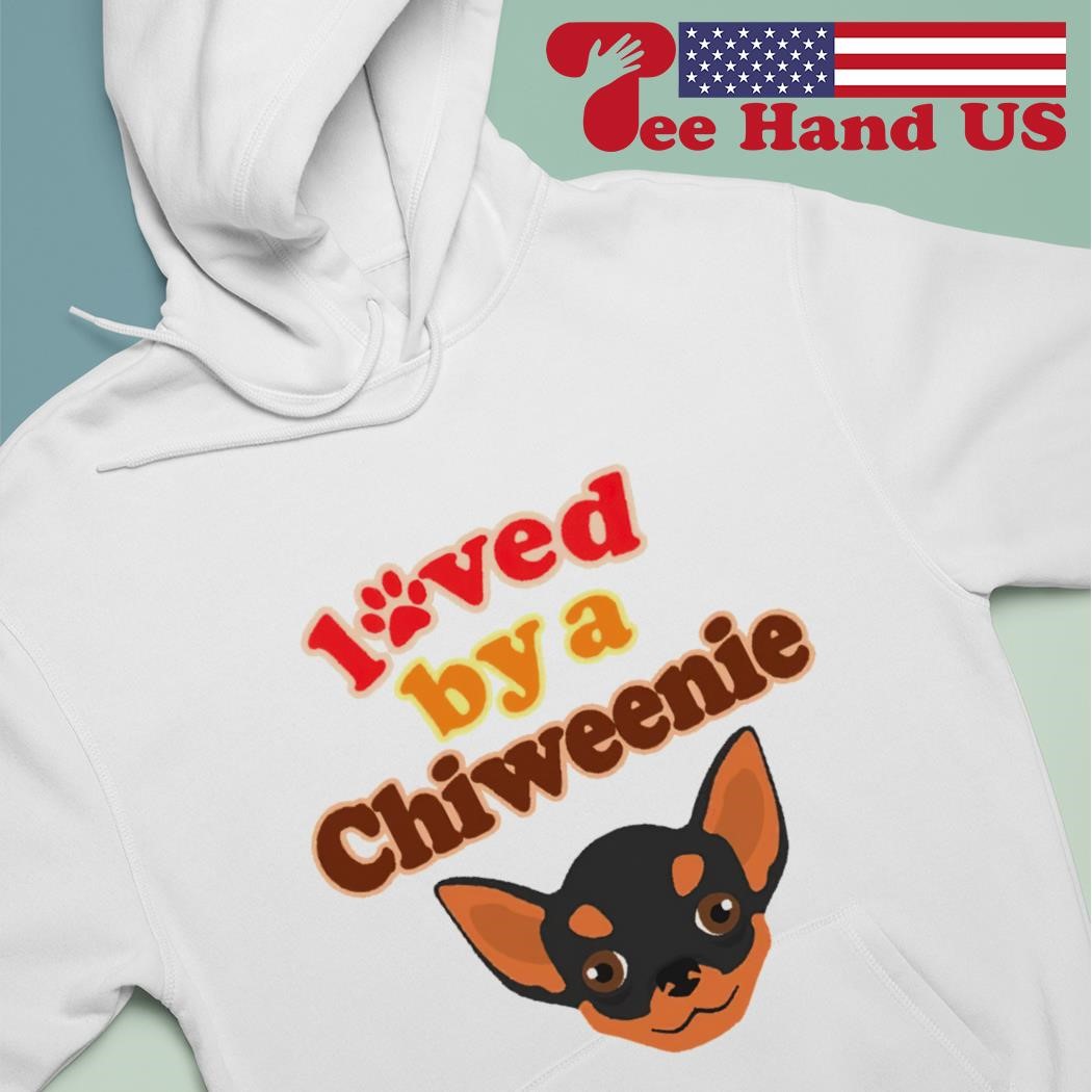 Fashion chiweenie sweater