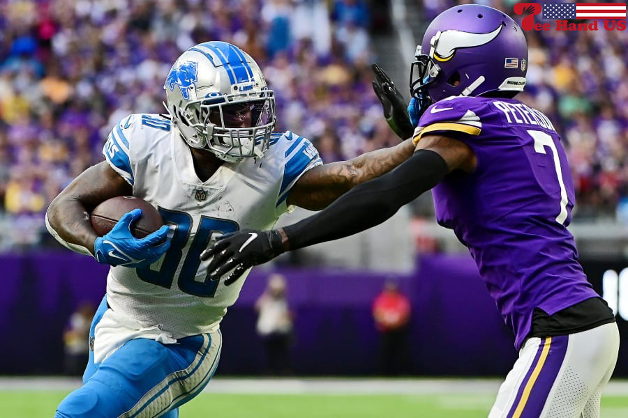 CLINCHED: Lions hang on to beat Vikings 30-24 for 1st division title since  1993 – The Oakland Press